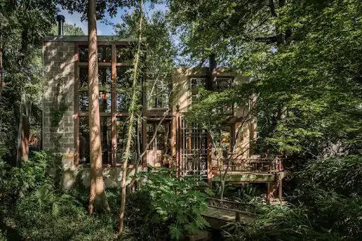 The Extraordinary Treehouse