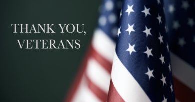 unites states flag and text "thank you veterans"
