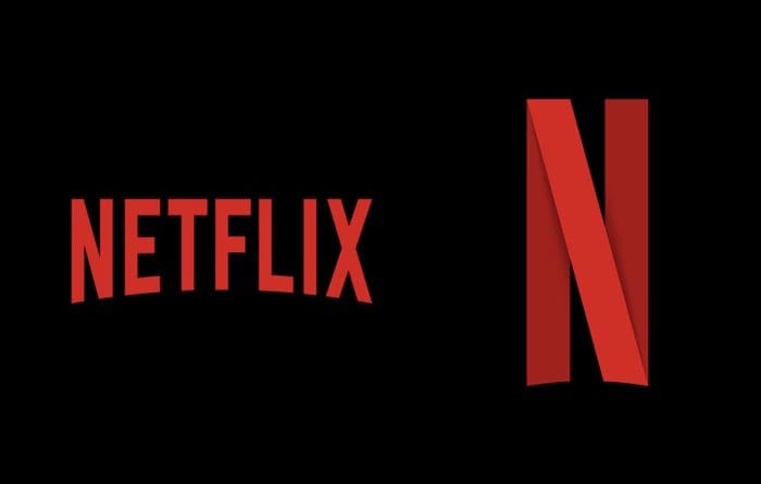 Netflix Terms & Conditions Logo
