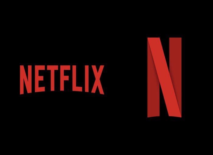 Netflix Terms & Conditions Logo