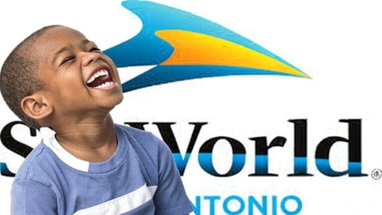 SEAWORLD'S NEW RIDES 2025